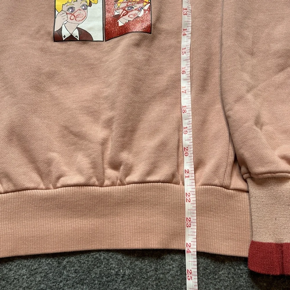 Pink and red crewneck sweatshirt with a unique anime style  graphic in the front
